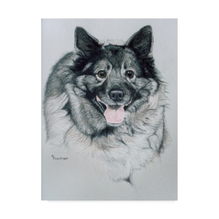 Rusty Frentner 'Dog Puff' Canvas Art,35x47